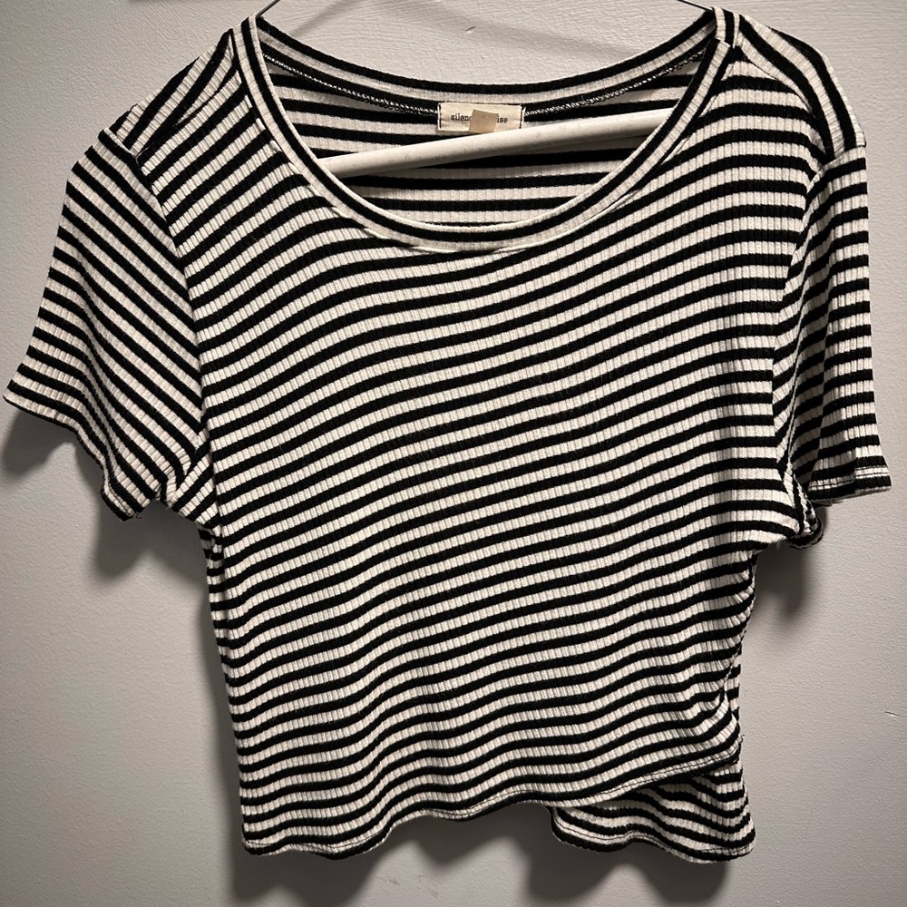 Silence + Noise Striped Crop Top